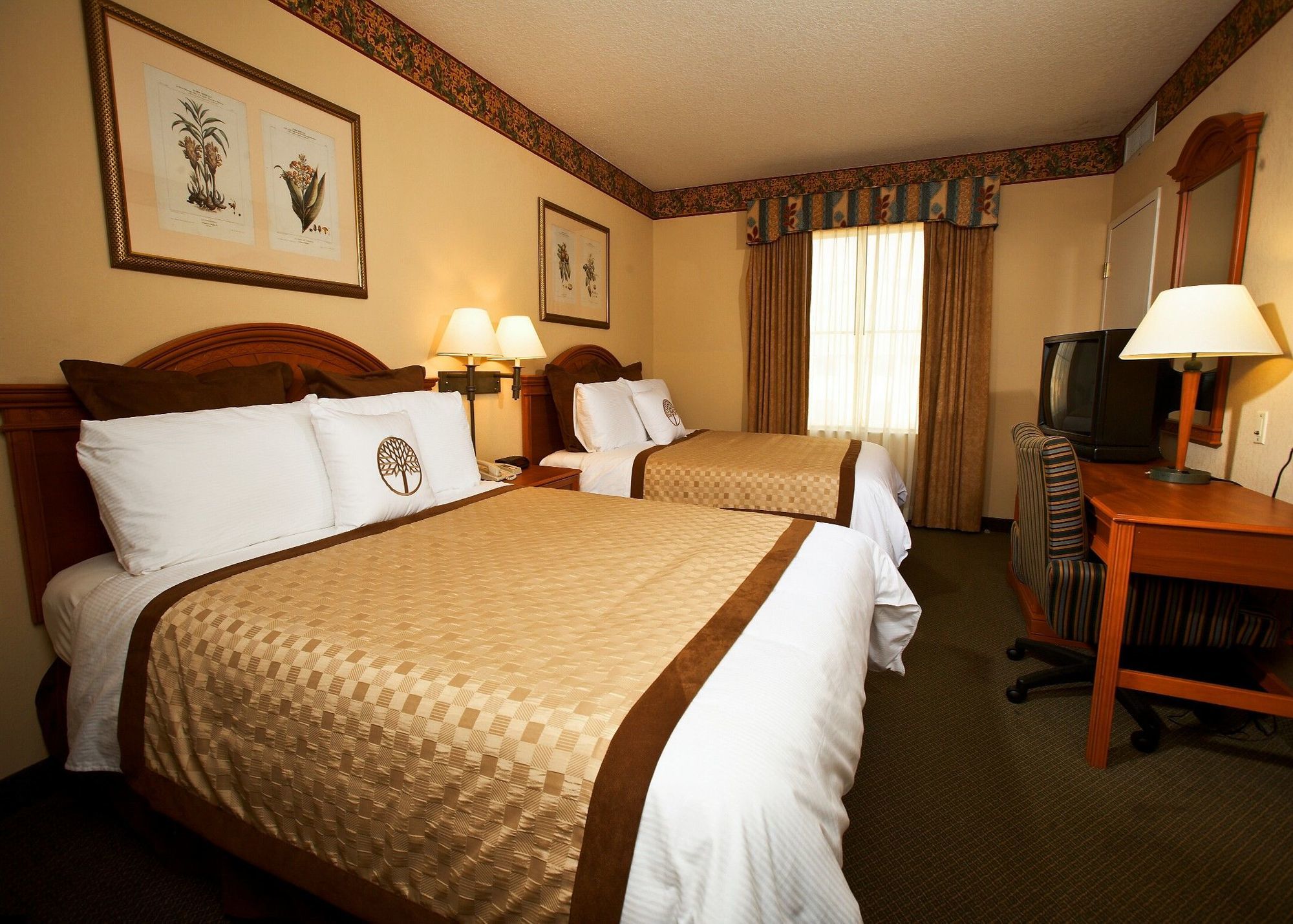 Staysky Suites I-Drive Orlando Near Universal Εξωτερικό φωτογραφία